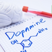 dopamine high and stimulant addiction
