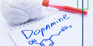 dopamine high and stimulant addiction